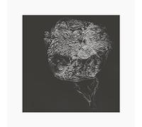 David Toop - Entities Inertias Faint Beings [Vinilo]