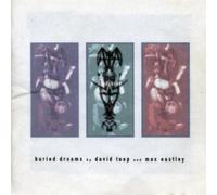 David Toop & Max Eastley - Buried Dreams