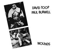 David Toop/Paul Burwell - Wounds [Vinilo]