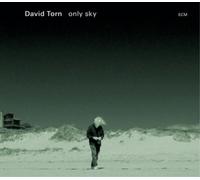 David Torn - Only Sky