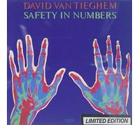 David Van Tieghem - Safety In Numbers