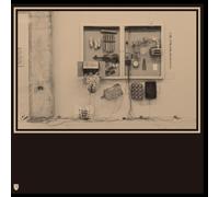 David Van Tieghem X Ten - Fits & Starts EP [VINYL] [Vinilo]
