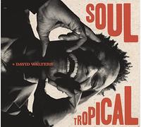 David Walters – Soul Tropical – Broken Silence