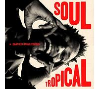 David Walters - Soul Tropical (Vinyl) [Vinilo]