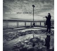 David Weiss - When Words Fail
