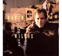 David Wilcox – Big Horizon
