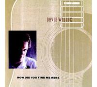 David Wilcox - How Did You Find Me