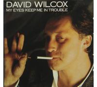 David Wilcox - My Eyes Keep Me in Trouble