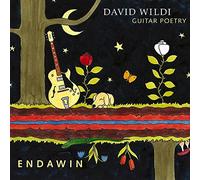 David Wildi - Endawin - Guitar Poetry / David Wildi