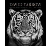 David Yarrow Photography