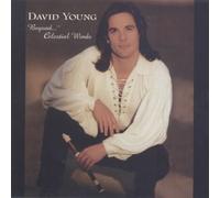 David Young - Beyond Celestial Winds