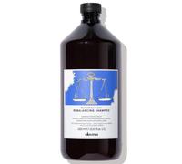 Davines - Champú Antigrasa NaturalTech Rebalancing 1000 ml