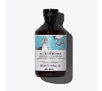 Davines Champú Bienestar 250ml - Para todo tipo de cabello