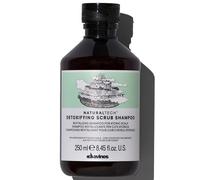 Davines - Champú Detoxificante NaturalTech Detoxifyng 250 ml