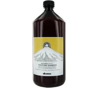 Davines Naturaltech Purifying Shampoo - 1000 Ml