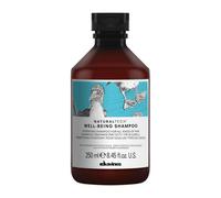 Davines Ntech Champú Well-Being 200 g