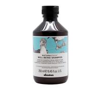 Davines Naturaltech Well-being Shampoo 250 ml