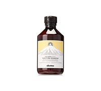 Davines Ntech Champú Purificante 200 g