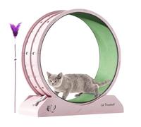 DAWCBVJQ Rueda de ejercicio para gatos | Cinta de correr para pérdida de peso para gatitos | Rueda de correr con teaser para gatos de interior pérdida de peso, cinta de correr para gatitos con bajo