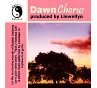 Dawn Chorus