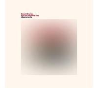 Dawn Chorus and the Infallible Sea - Liberamente [Vinilo]