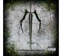 Dawn Of Ashes - Infectando las cicatrices