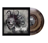 Dawn of demise - Hate takes its form [Vinilo]