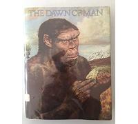 Dawn of Man