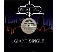 Dawn Tallman - Save a Place on the Dance Floo [Vinilo]