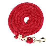 DAXJEROL Cuerda de Lunging para Caballos de 2 m, Resistente y antirrotura, con empuñadura Antideslizante y Gancho de Acero Inoxidable, Ideal para pasear, Manejar y Entrenar a los Caballos. (Roja)