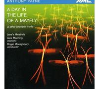 Day in the Life of a Mayfly / Song Streams