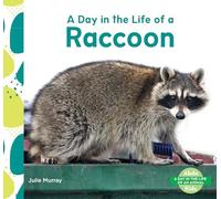 Day in the Life of a Raccoon (Day in the Life of an Animal)