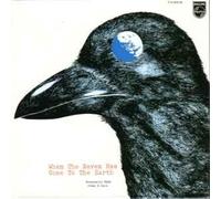 Day When the Big Bird Has Land