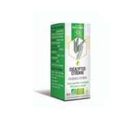 Dayang Aceite Esencial Eucalyptus Citron 10ml