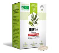 Dayang Fitoterapia Olivier Bio 30 cápsulas vegetales