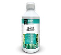 Dayang Silicium Orgánico Articulaciones y Huesos 500ml