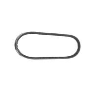 Correa poly V DAYCO 13A0800C