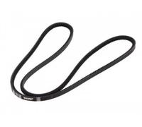 DAYCO 13A1825GL Correa trapezoidal