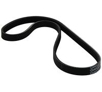 Dayco Correa Poli-V 4PK853 - Trapezoidal nervada para Audi, Nissan y Peugeot