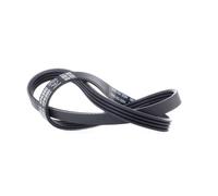 DAYCO 4PK890 Correa trapecial poli V