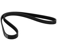 Dayco Correa Poli V 4PK968 trapezoidal nervada