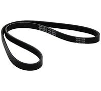 Dayco Correa trapezoidal nervada Poly V 4PK975 para Hyundai, Honda y Kia