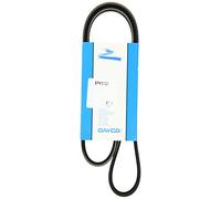 Dayco Correa Poly-V 5PK1125 para NISSAN, Mercedes‑Benz y Renault