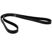 Dayco 5PK1263 correa trapecial poli v