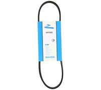 DAYCO Correa poli V 5PK705EE para Ford Focus, C-Max; Volvo V50, C30, S40 - Metzger Autoteile