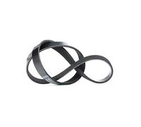 Dayco Correa Poly-V trapezoidal nervada 5PK775