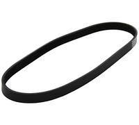 Dayco Correa trapezoidal nervada poli V 5PK810 para BMW Serie 3, Serie 5, Serie 7, X5