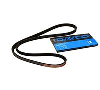 Dayco Correa Poly-V 5PK875 para Subaru (Impreza, Legacy, WRX, Forester), Daewoo y Ford