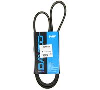 Dayco Correa poli V 6DPK1188 para Volkswagen Lupo, Polo y SEAT Arosa