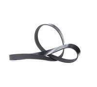 Dayco Correa poli V 6PK1115 para Audi y Volkswagen (TT, A3, Golf, Tiguan, Passat)